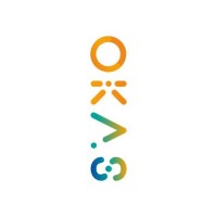 OKAS logo - Similar company to Bsd Technologies Pvt Ltd