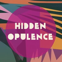 Hidden Opulence Design House, Llc