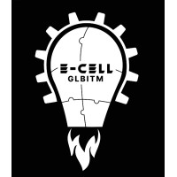 E-CELL, GLBITM logo - Similar company to E-Cell Gbs