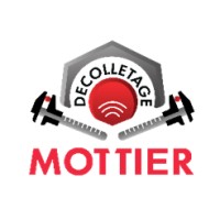 DECOLLETAGE MOTTIER logo - Similar company to Billardy, Screw Machining And Cold Forming