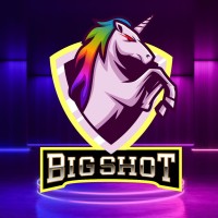 Big Shot logo - Similar company to The Acceleration Group Llc
