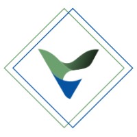 Verdical Solutions logo - Similar company to Veridical Technologies
