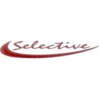 Selective Minerals & Color Inds (p) Ltd logo - Similar company to Green Global Technologies