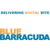 Blue Barracuda logo - Similar company to Upriver Creative Ltd - Navigating Design Solutions Together
