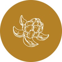 Berrycloud Consulting AB logo - Similar company to Cloud & Berry