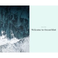 OceanMint logo - Similar company to Geoptic Infrastructure Investigations Limited