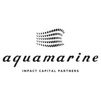 aquamarine - impact capital partners logo - Similar company to Phoenix Decom Ltd