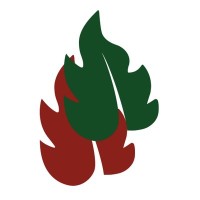 Log Florestal logo - Similar company to Vmf Florestal