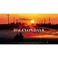 HALCYON DAYS logo - Similar company to Vygr