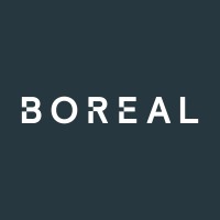 Boreal IM logo - Similar company to Belog