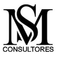 MS Consultores logo - Similar company to Mooy