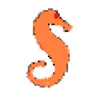 Seahorse Swim Limited