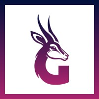 InsaGames logo - Similar company to Sharp Vision