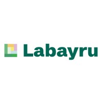 Labayru Fundazioa logo - Similar company to Belbin Euskaraz
