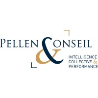 BRUNO PELLEN CONSEIL logo - Similar company to Pvs
