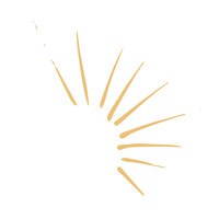 EmiRise logo - Similar company to Radiance.