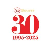 Bourse Securities Limited logo - Similar company to Firstline Securities