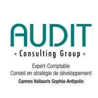 AUDIT CONSULTING GROUP. logo - Similar company to Quantis Conseil