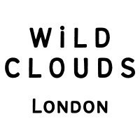 Wild Clouds logo - Similar company to Deeside Decarbonisation Forum