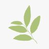RedVerde Bioconstrucción logo - Similar company to Krinner Group