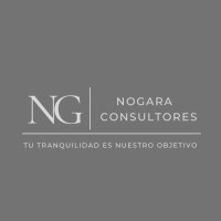Nogara Consultores logo - Similar company to Torres Inversiones