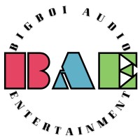 BigBoi Audio Entertainment logo - Similar company to Bigboi