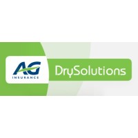 DrySolutions logo - Similar company to Touring Carselect