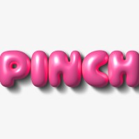 Pinch logo - Similar company to General Llc