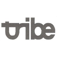 Tribe Consultancy logo - Similar company to Tribe Consulting