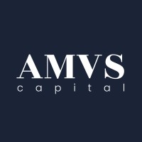 AMVS Capital logo - Similar company to Morsebridge Ventures