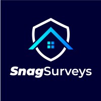 Snag Surveys logo - Similar company to Dailypidyon