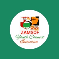 Zamsof Youth Connect Initiative logo - Similar company to Davetech