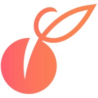 Apricot logo - Similar company to Apricot By Social Solutions