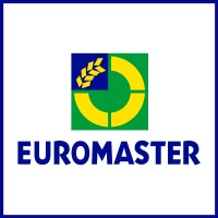EUROMASTER FRANCE logo - Similar company to Delko