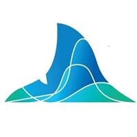 StatShark logo - Similar company to Razar Technologies