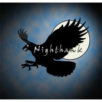 Nighthawk Trucking LLC logo - Similar company to Nighthawk Logistics Enterprises