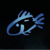 IFC Holdings Ltd logo - Similar company to Ifc Holding