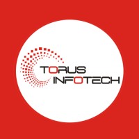 Torus Infotech logo - Similar company to Torusinfotech