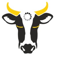WebKow logo - Similar company to Brandbite