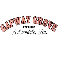 Gapway Grove Corporation logo - Similar company to Touching Miami With Love