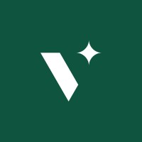 Vizier logo - Similar company to Nine Lives Consultancy