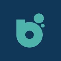 Bruis logo - Similar company to Trustprovider