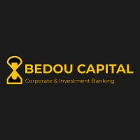 BEDOU CAPITAL logo - Similar company to Vie Foundation ( Values - Integrity - Evolution)
