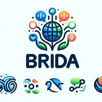 Brida Town logo - Similar company to Rydr