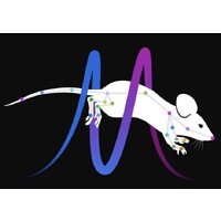 Mathis Laboratory of Adaptive Intelligence logo - Similar company to Mccabe Lab
