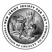 New Jersey Society For The Prevention Of Cruelty To Animals (Njspca)
