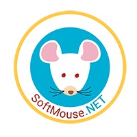 SoftMouse.NET logo - Similar company to Rapid Lab