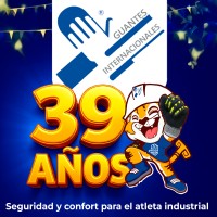 GUANTES INTERNACIONALES S.A. de C.V. logo - Similar company to Ab Consultoría Integral