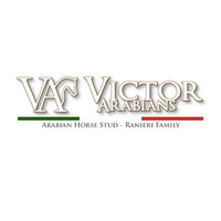 Victor Arabians logo - Similar company to Founders