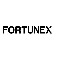 Fortunex logo - Similar company to Duh Design